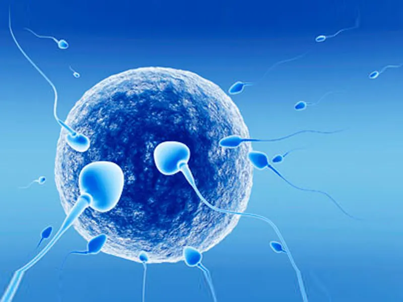 centro broussais infertilità